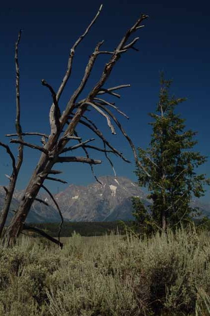 The Tetons at Snake River Overlook